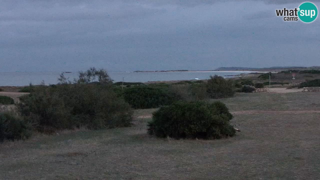 Plaža Mari Ermi | Is Arutas – Oristano