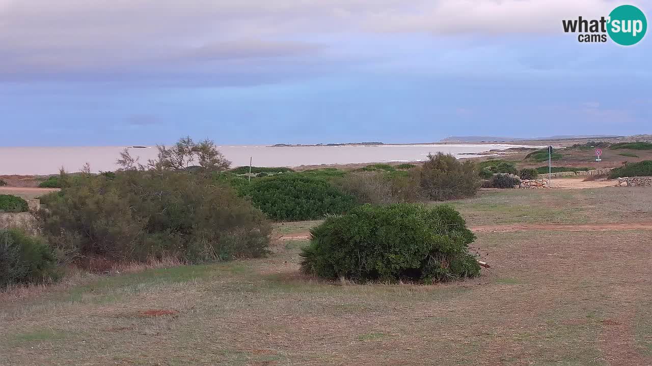 Playa Mari Ermi | Is Arutas – Oristano