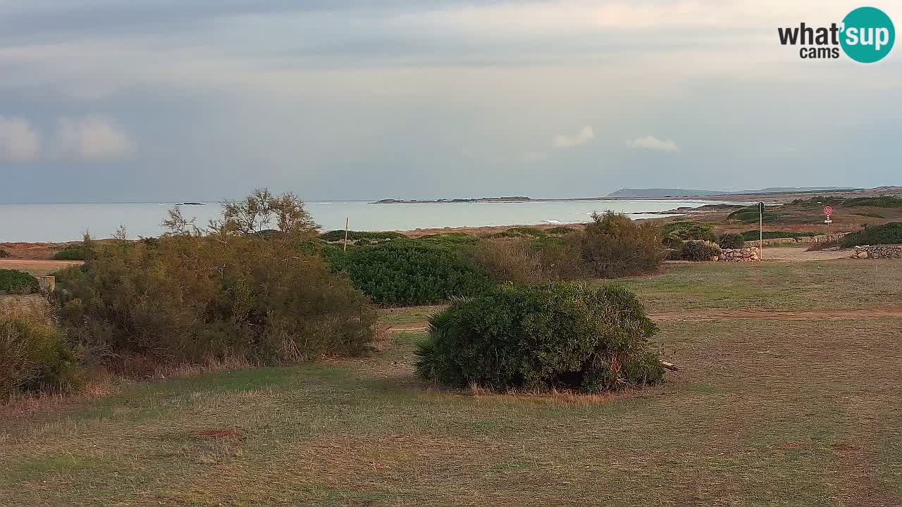 Plage Mari Ermi | Is Arutas – Oristano