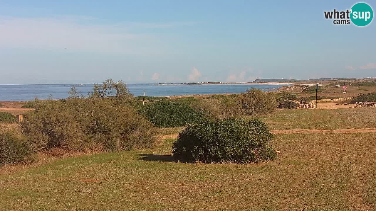 Mari Ermi beach | Is Arutas – Oristano