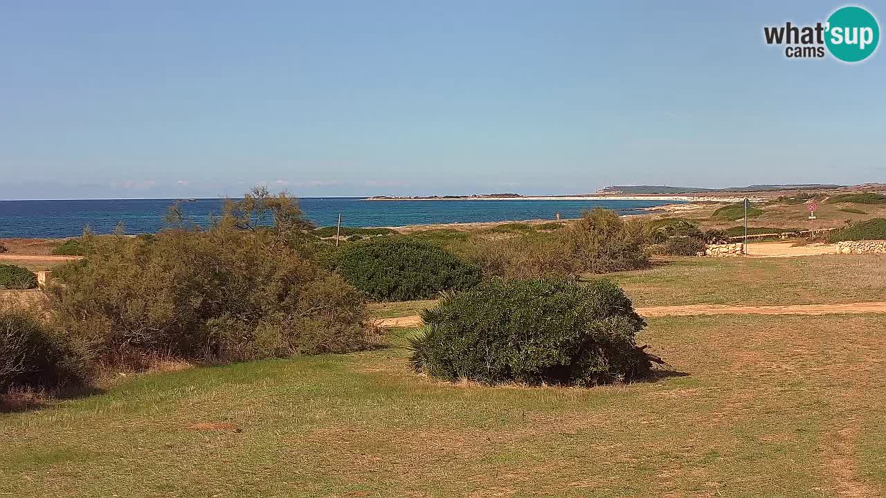 Mari Ermi Strand | Is Arutas – Oristano