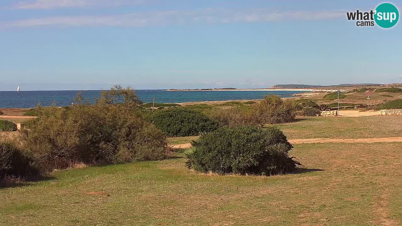 Mari Ermi beach | Is Arutas – Oristano