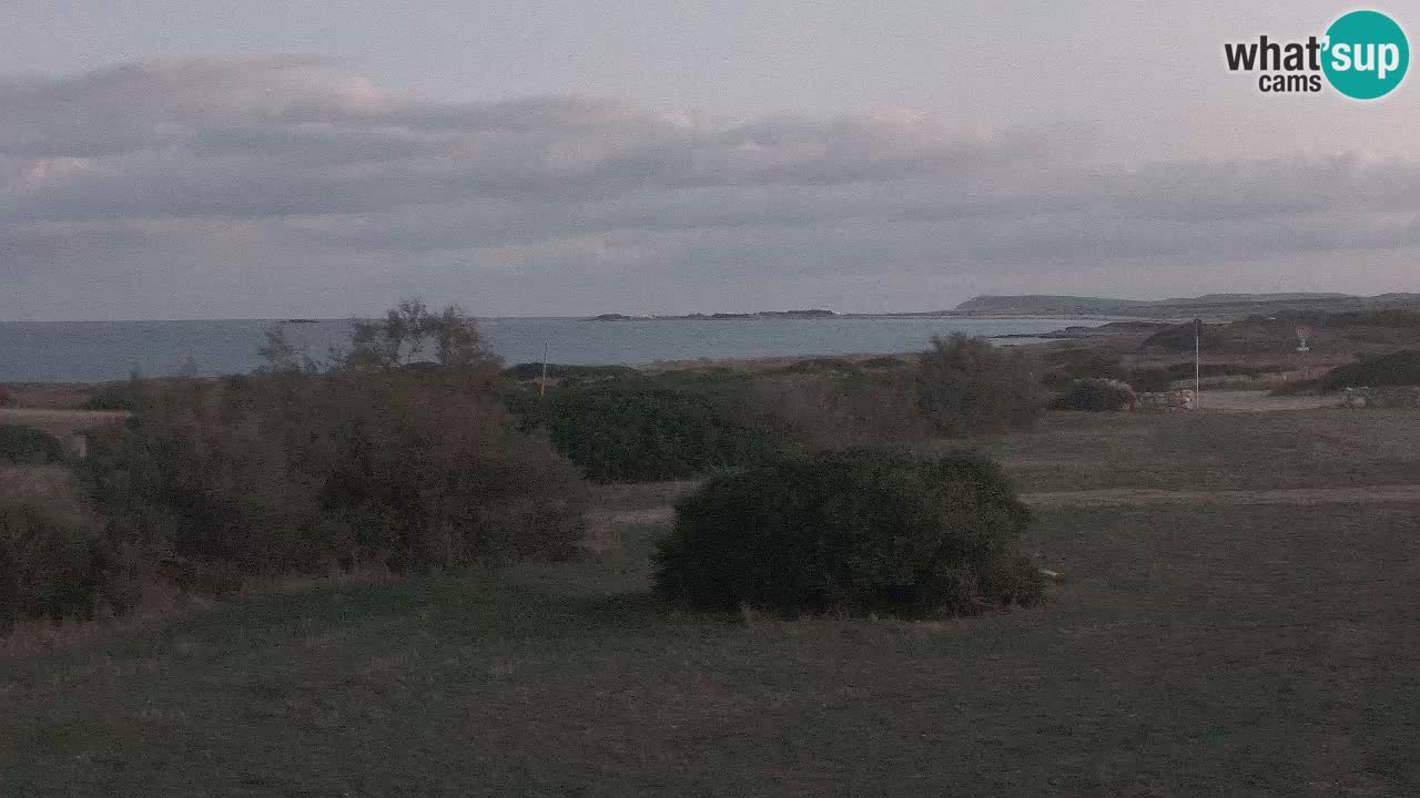 Playa Mari Ermi | Is Arutas – Oristano