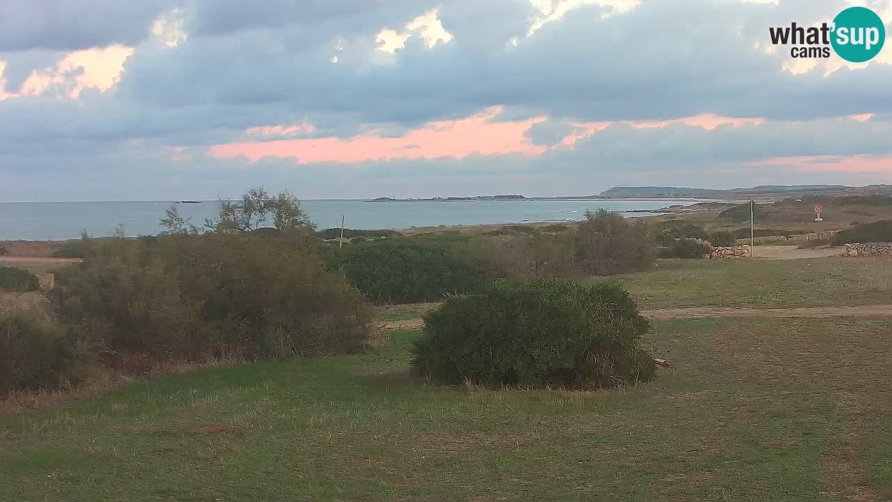 Playa Mari Ermi | Is Arutas – Oristano