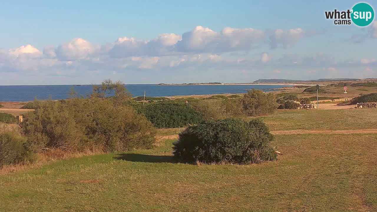 Playa Mari Ermi | Is Arutas – Oristano