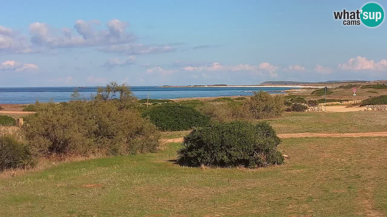 Plaža Mari Ermi | Is Arutas – Oristano