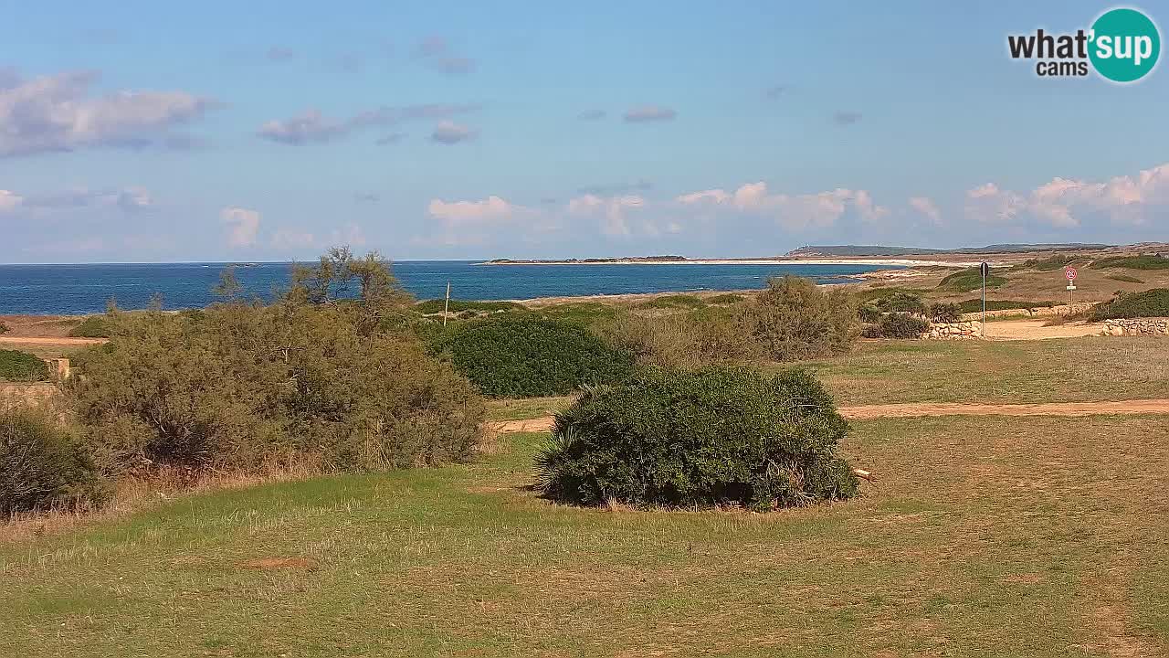 Playa Mari Ermi | Is Arutas – Oristano