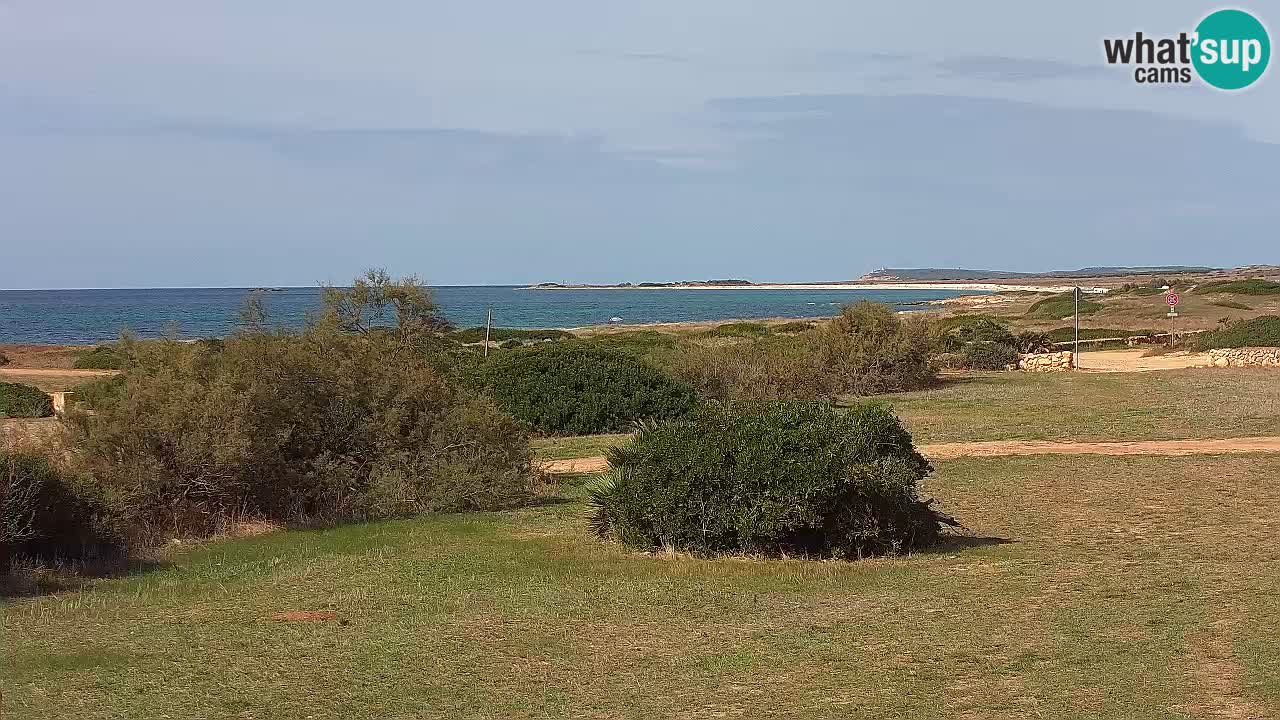 Mari Ermi Strand | Is Arutas – Oristano