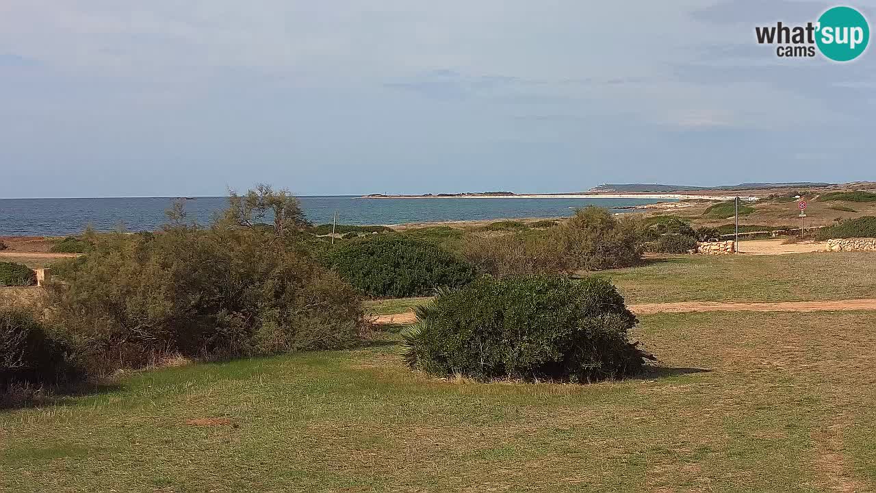 Playa Mari Ermi | Is Arutas – Oristano
