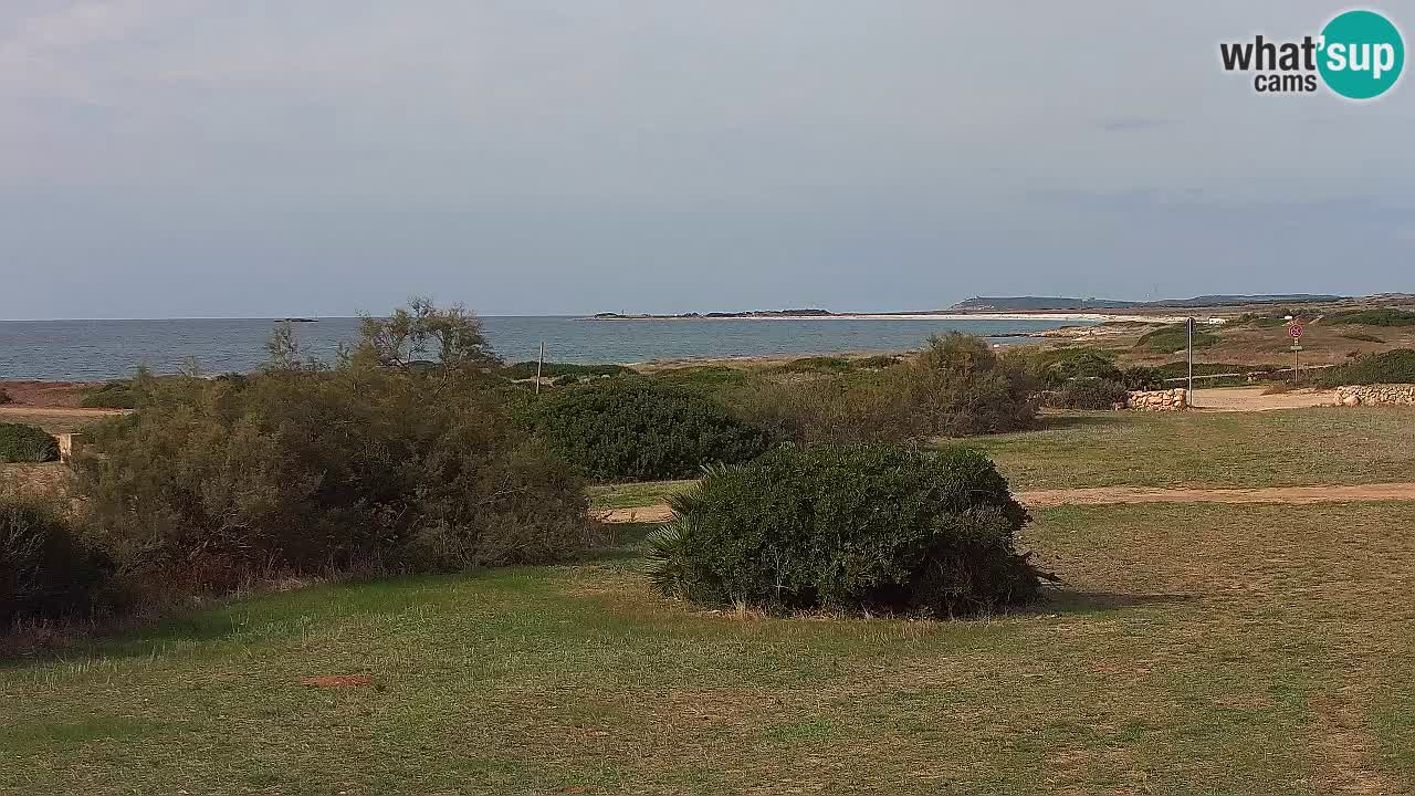 Playa Mari Ermi | Is Arutas – Oristano
