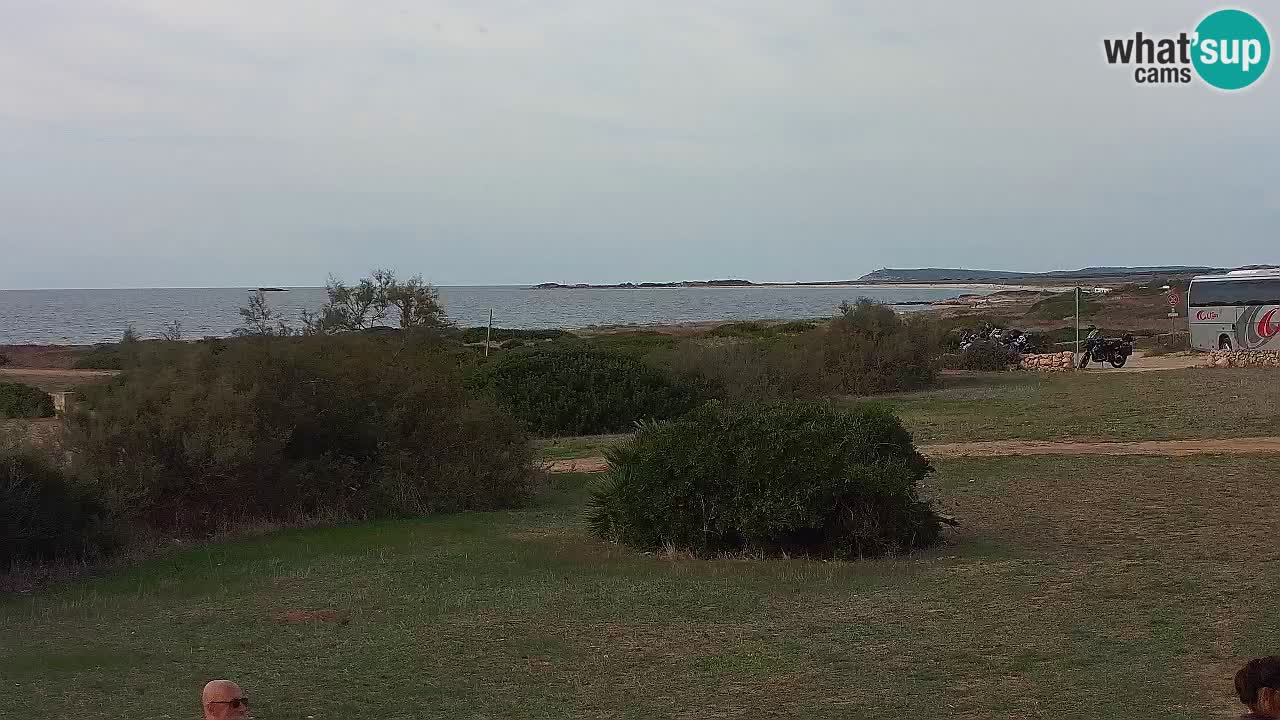 Plaža Mari Ermi | Is Arutas – Oristano
