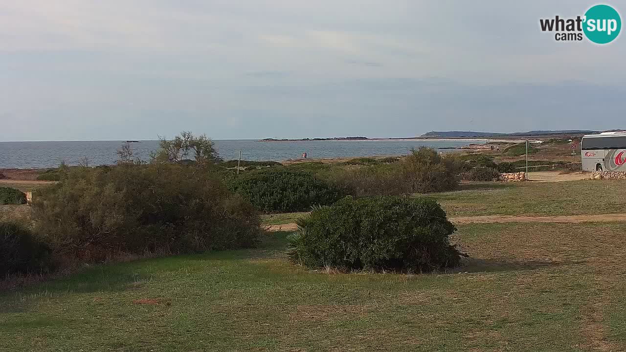 Mari Ermi Strand | Is Arutas – Oristano