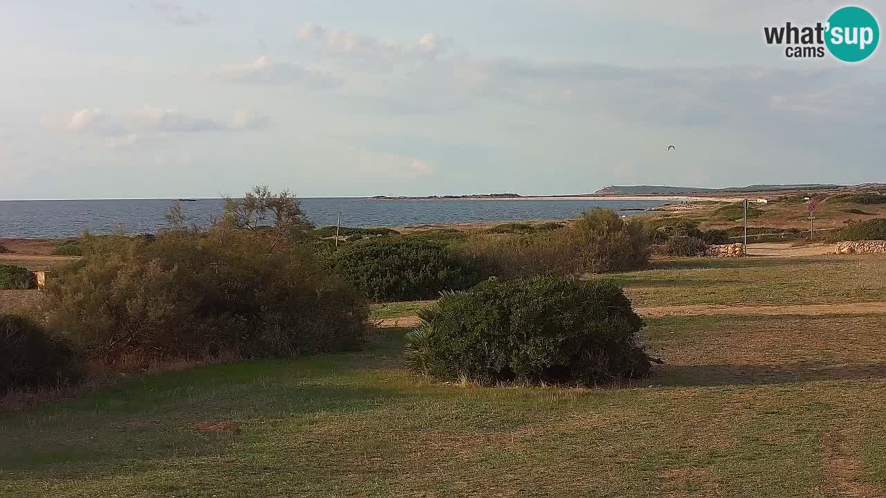 Spiaggia Mari Ermi | Is Arutas – Oristano