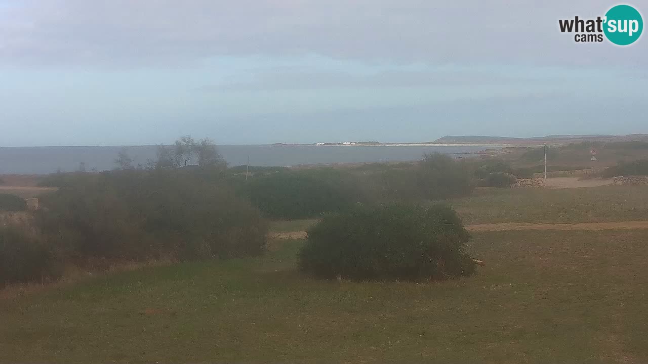 Playa Mari Ermi | Is Arutas – Oristano
