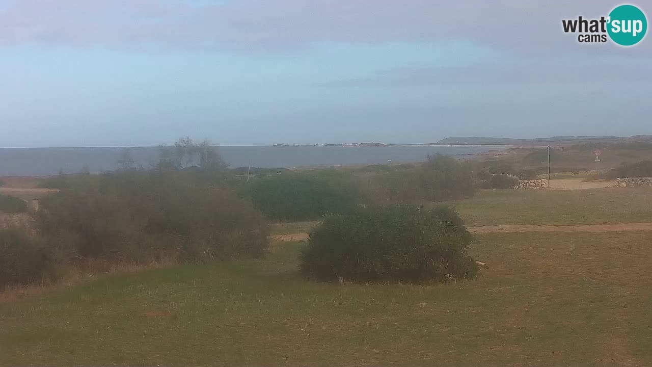 Playa Mari Ermi | Is Arutas – Oristano