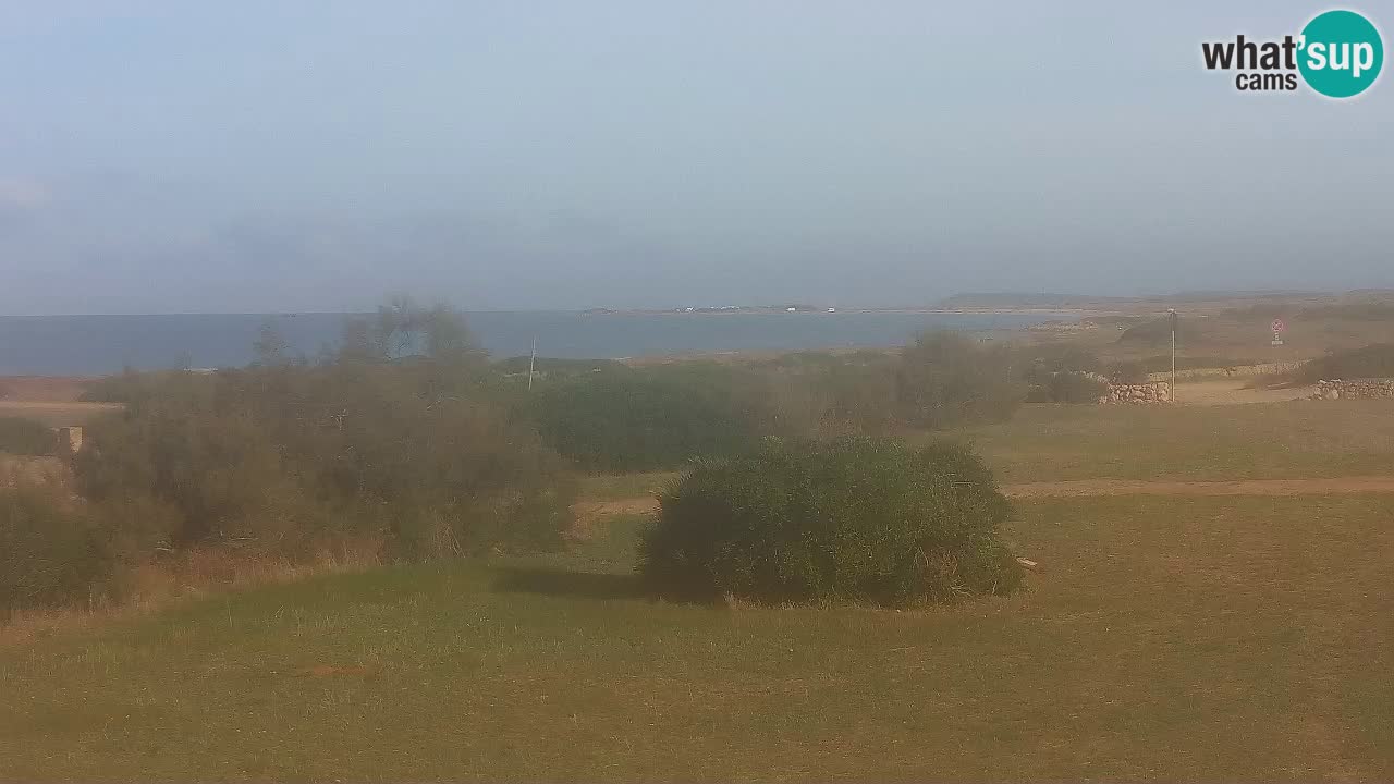 Mari Ermi Strand | Is Arutas – Oristano