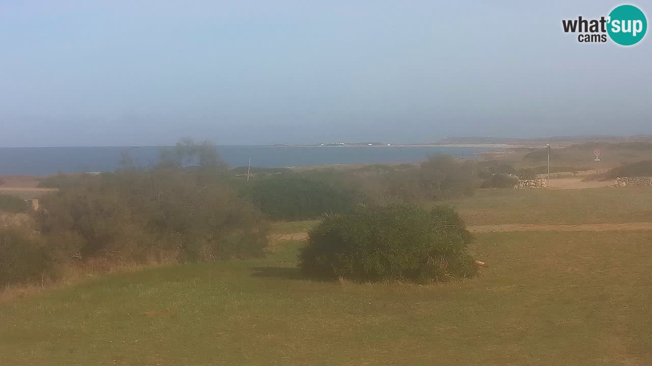 Playa Mari Ermi | Is Arutas – Oristano