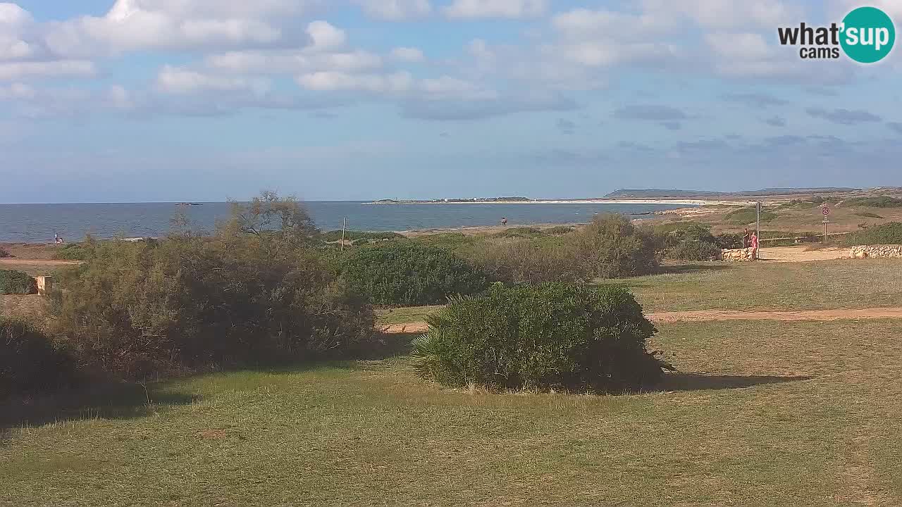 Playa Mari Ermi | Is Arutas – Oristano