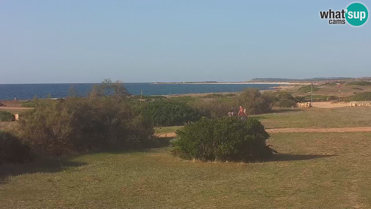 Mari Ermi Strand | Is Arutas – Oristano
