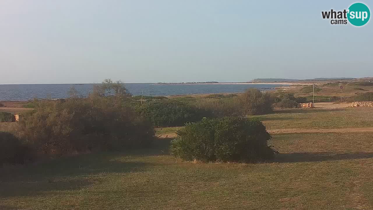 Plaža Mari Ermi | Is Arutas – Oristano