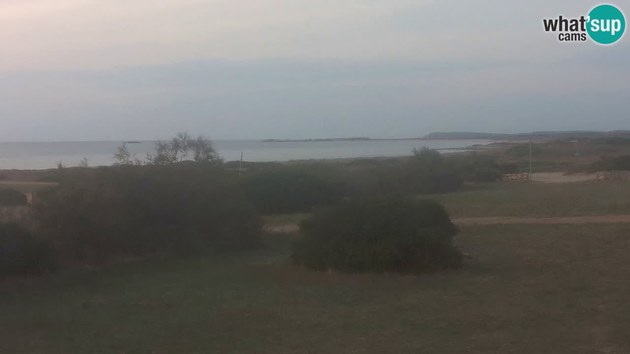 Mari Ermi Strand | Is Arutas – Oristano