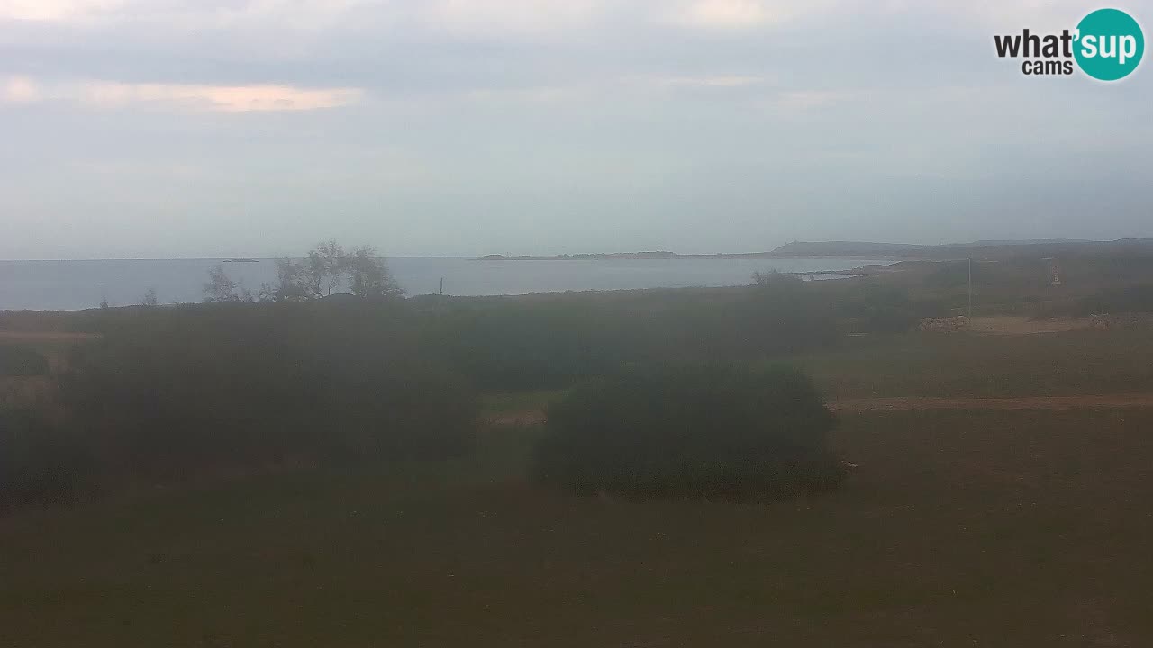Mari Ermi Strand | Is Arutas – Oristano