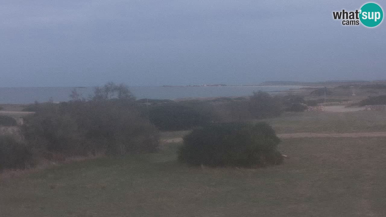 Plaža Mari Ermi | Is Arutas – Oristano