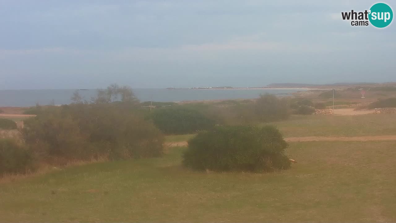 Mari Ermi Strand | Is Arutas – Oristano