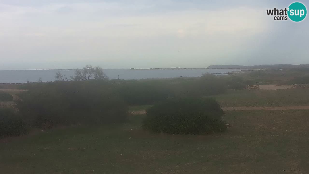 Mari Ermi Strand | Is Arutas – Oristano