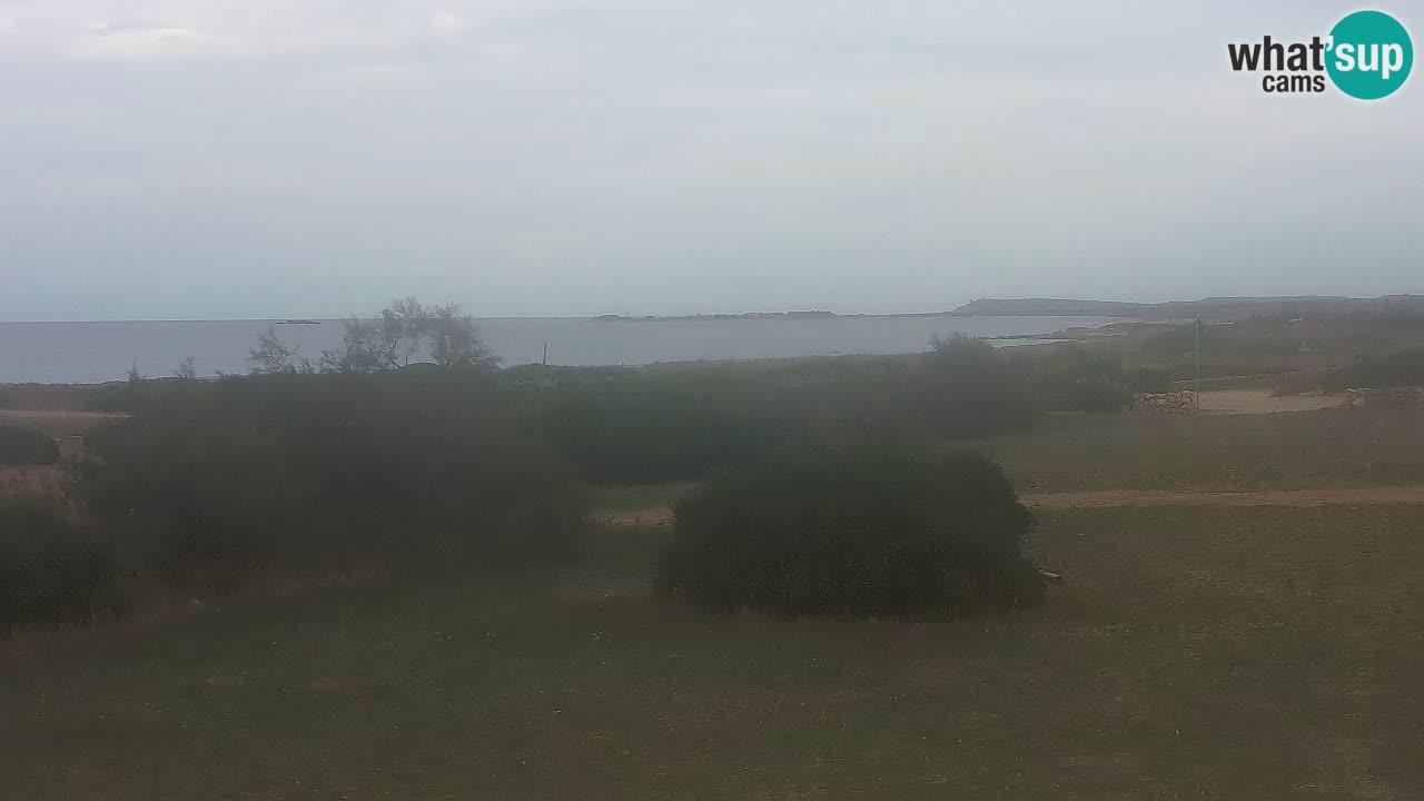 Mari Ermi beach | Is Arutas – Oristano