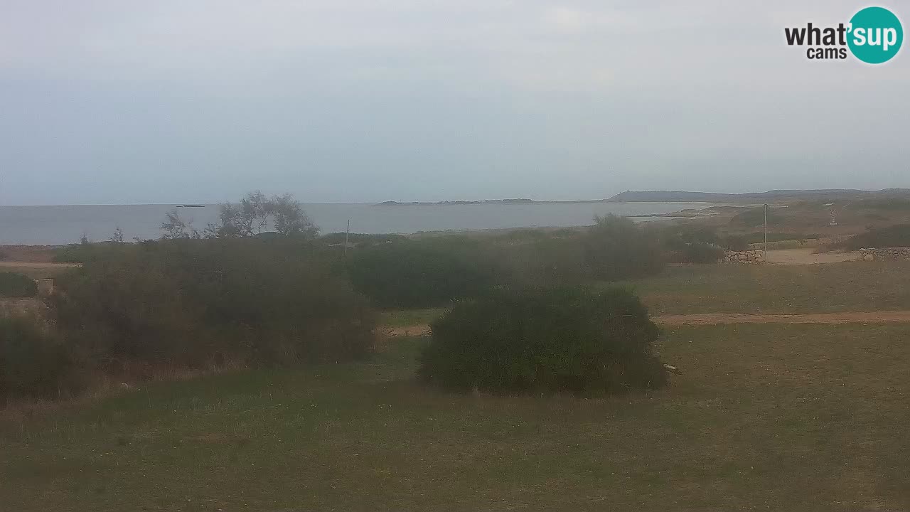 Mari Ermi Strand | Is Arutas – Oristano