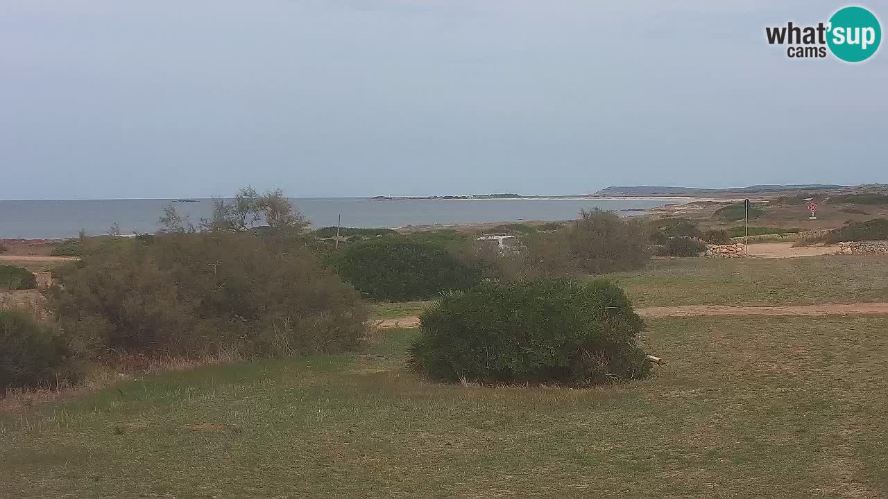 Mari Ermi Strand | Is Arutas – Oristano