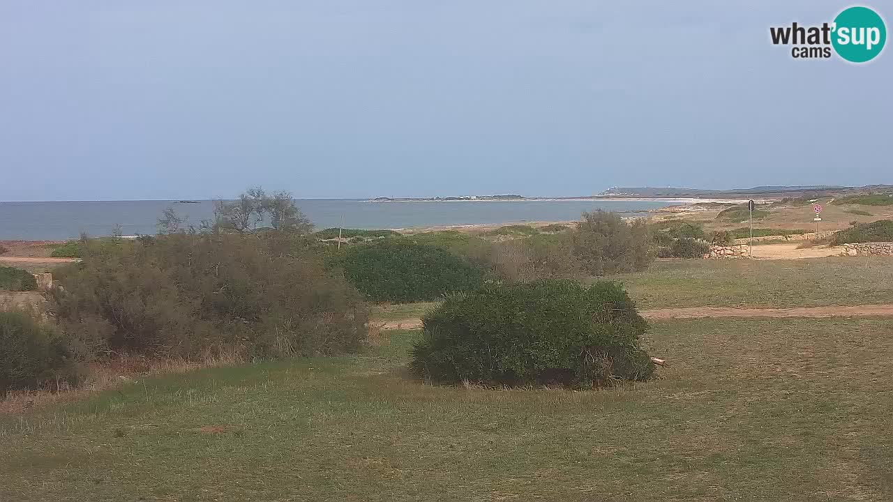 Plaža Mari Ermi | Is Arutas – Oristano
