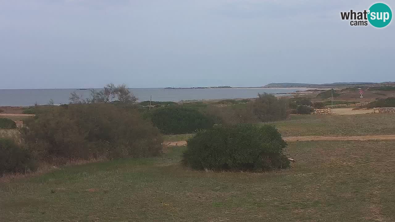 Plage Mari Ermi | Is Arutas – Oristano
