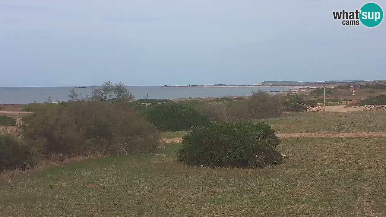 Mari Ermi Strand | Is Arutas – Oristano