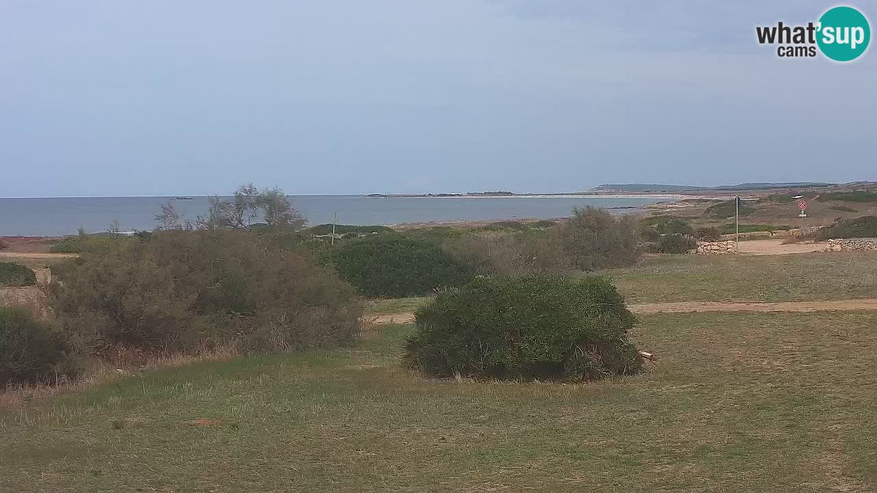 Plaža Mari Ermi | Is Arutas – Oristano
