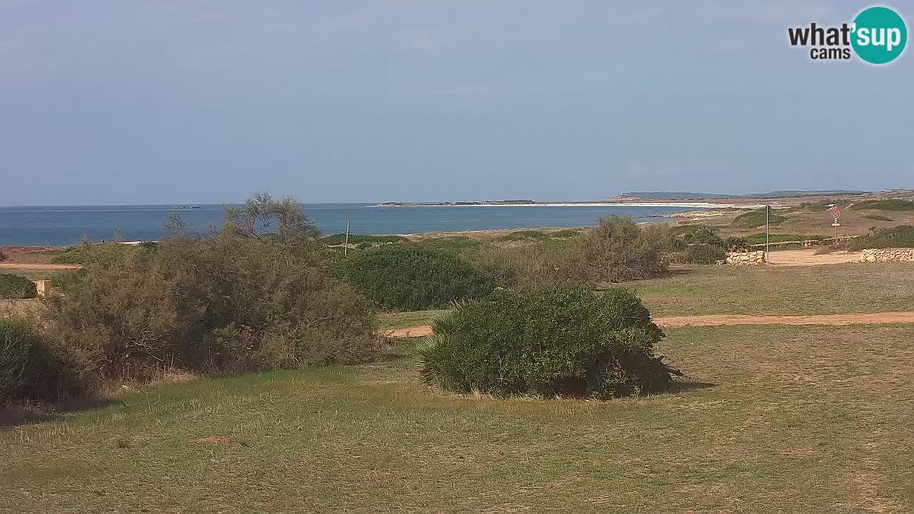 Mari Ermi beach | Is Arutas – Oristano