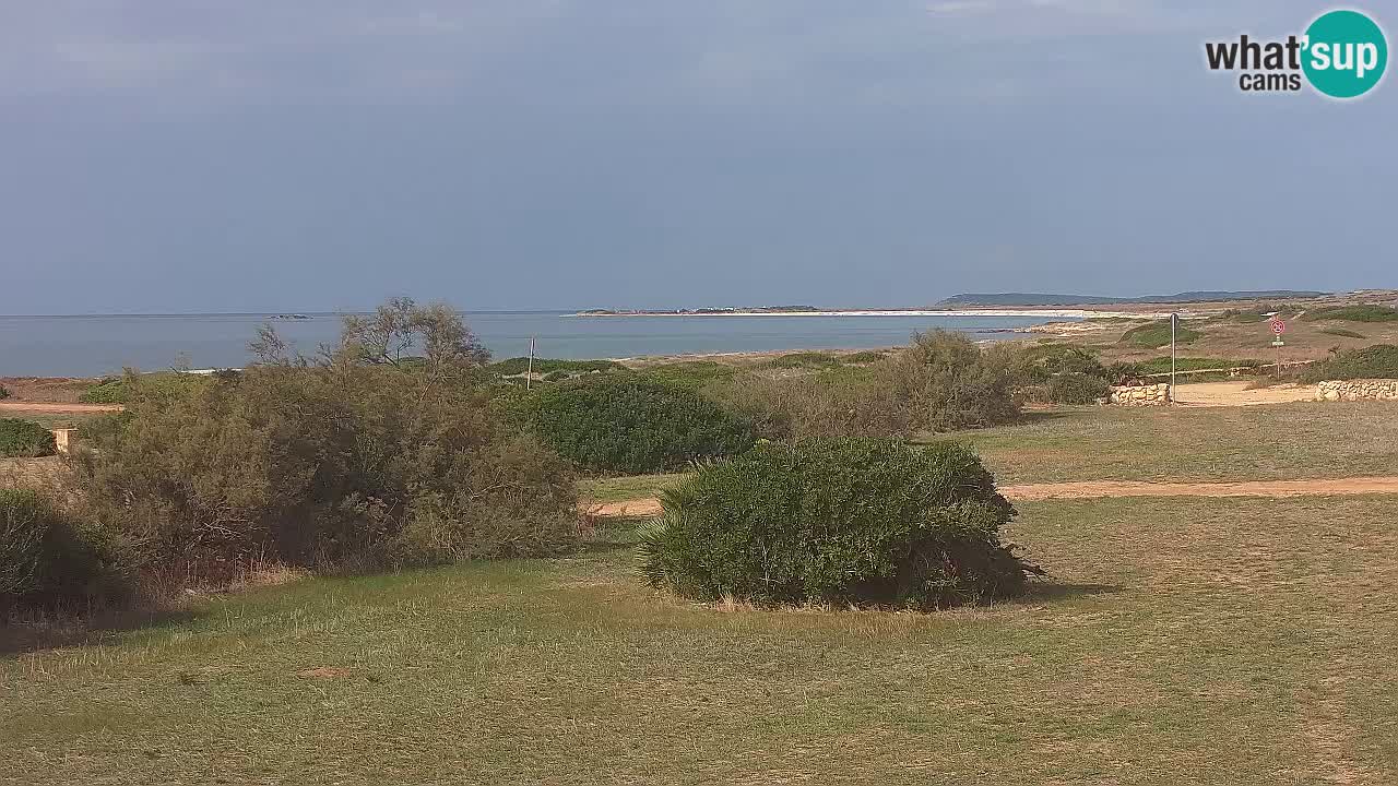 Plage Mari Ermi | Is Arutas – Oristano