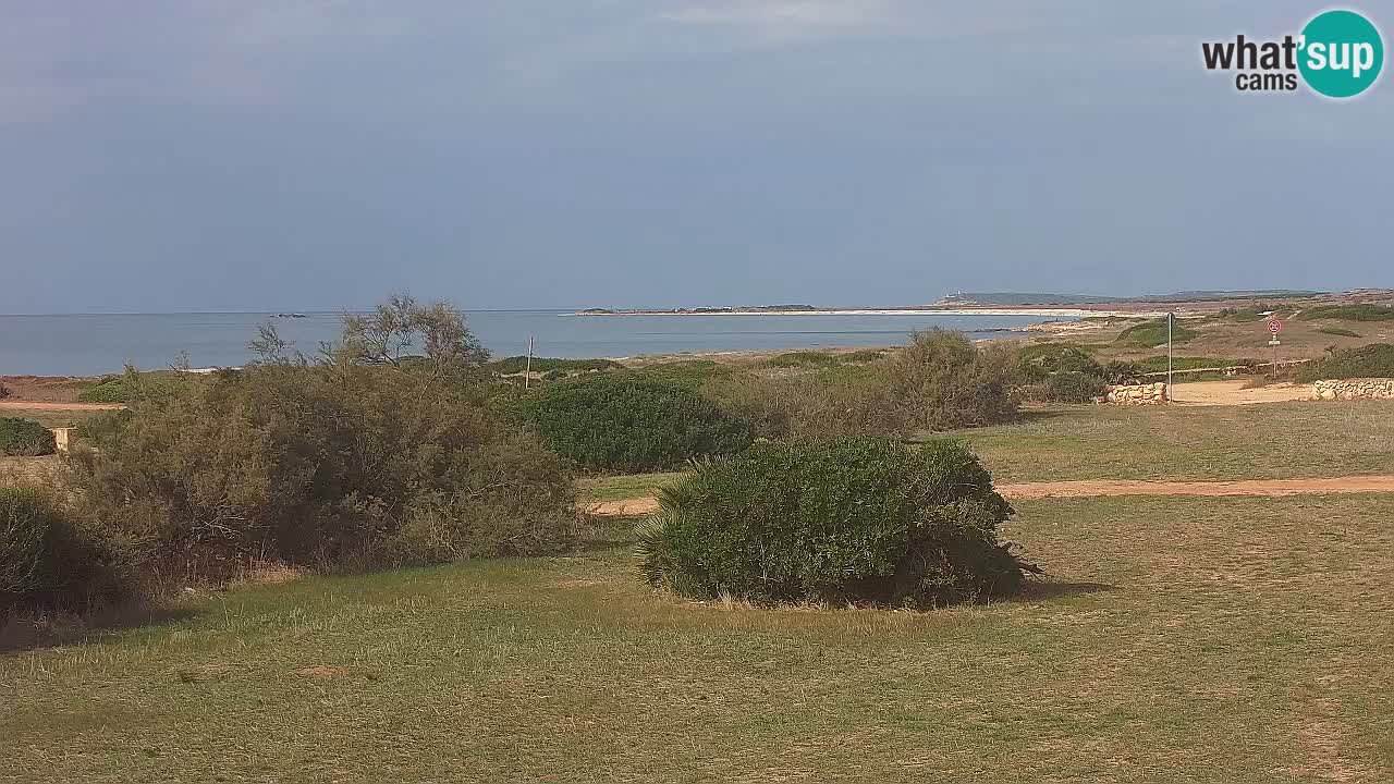 Playa Mari Ermi | Is Arutas – Oristano