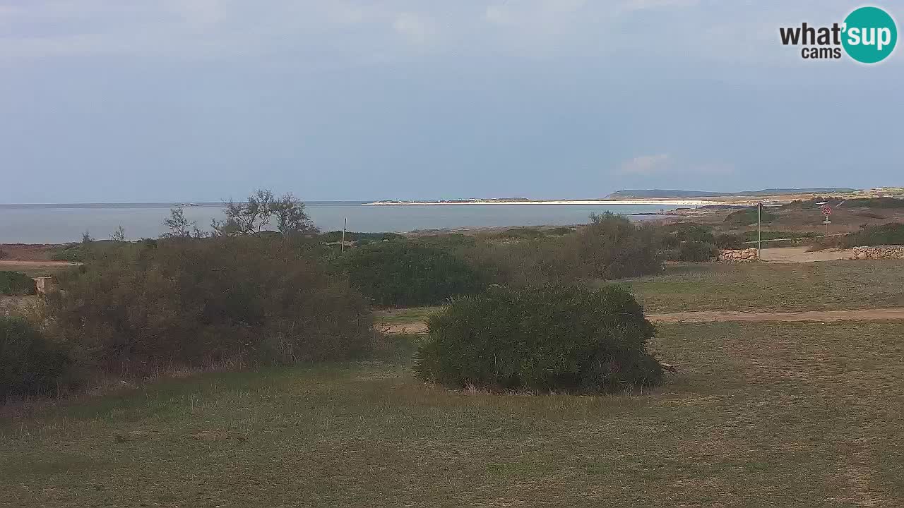 Plaža Mari Ermi | Is Arutas – Oristano