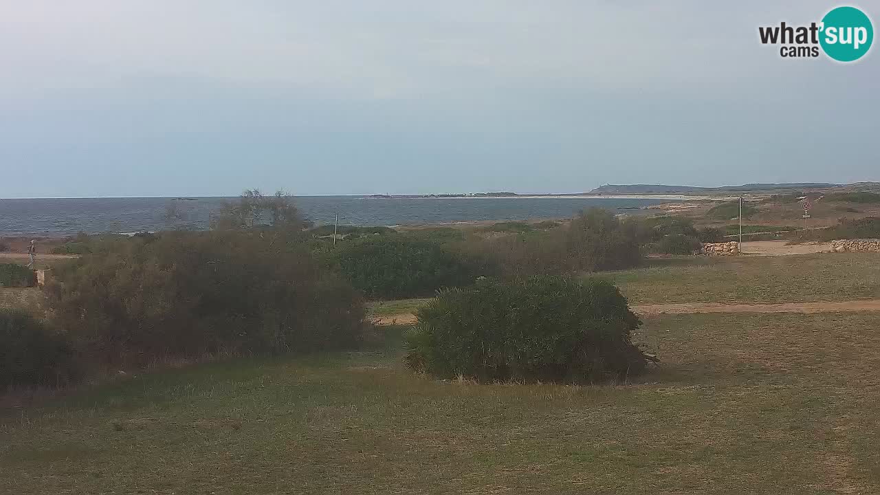 Mari Ermi Strand | Is Arutas – Oristano
