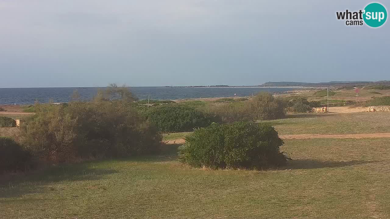 Mari Ermi beach | Is Arutas – Oristano