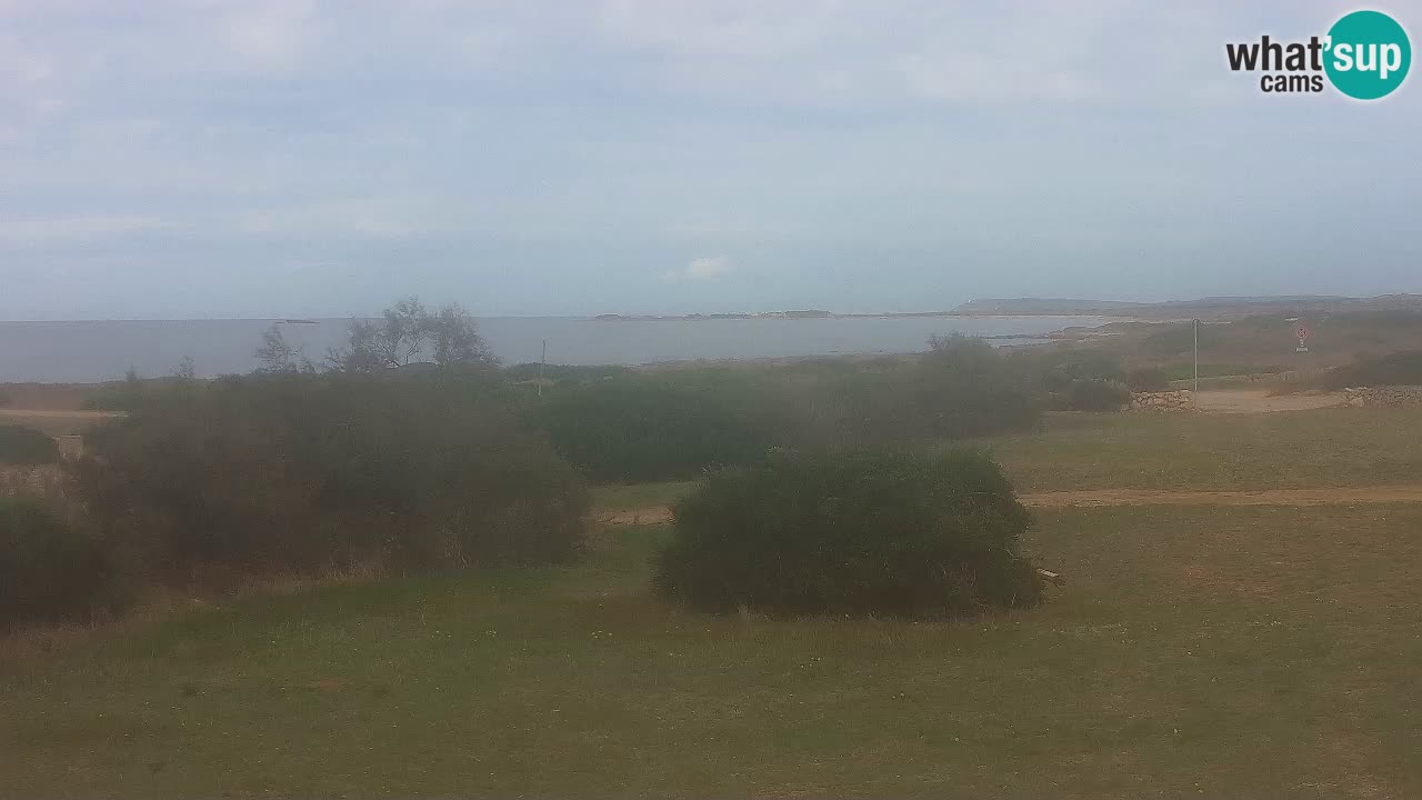 Spiaggia Mari Ermi | Is Arutas – Oristano