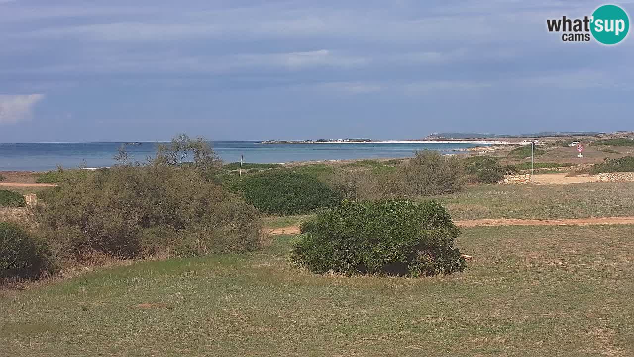 Mari Ermi beach | Is Arutas – Oristano
