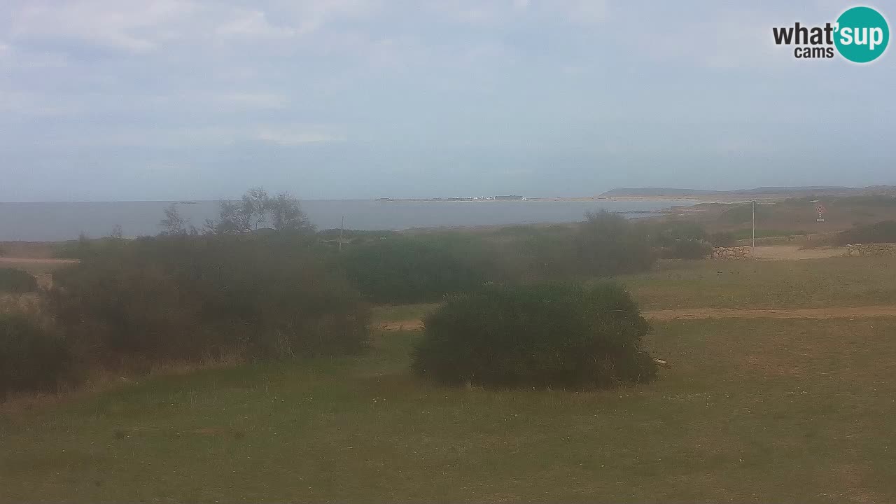 Plage Mari Ermi | Is Arutas – Oristano