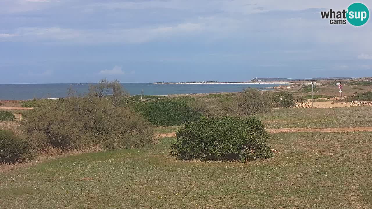 Playa Mari Ermi | Is Arutas – Oristano