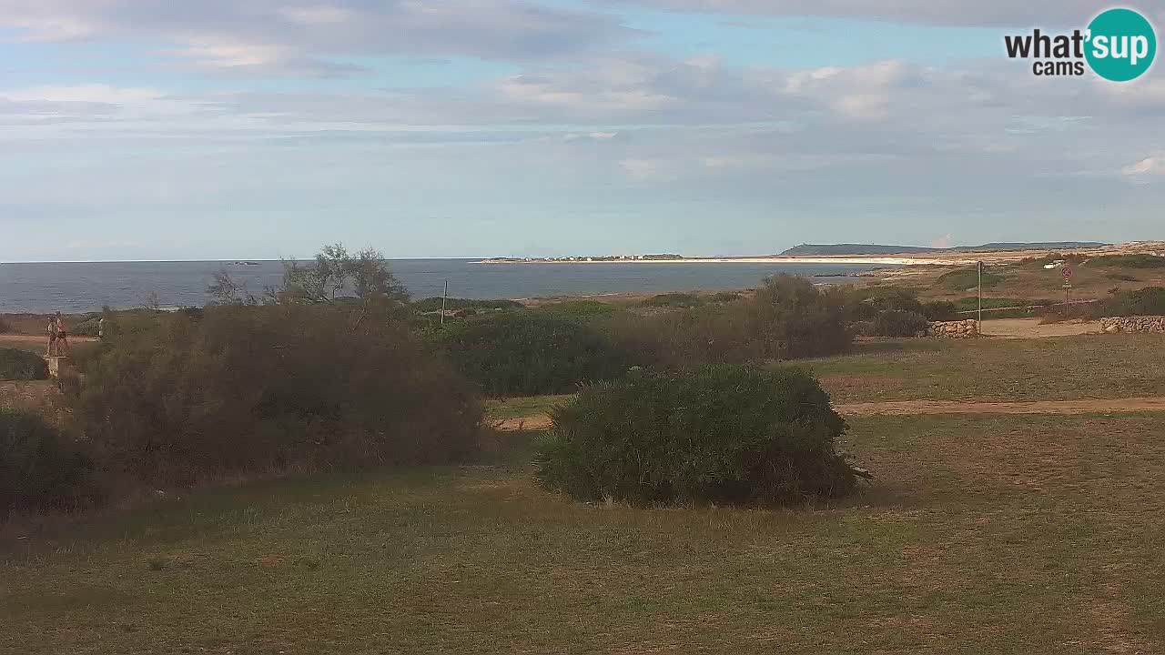 Playa Mari Ermi | Is Arutas – Oristano