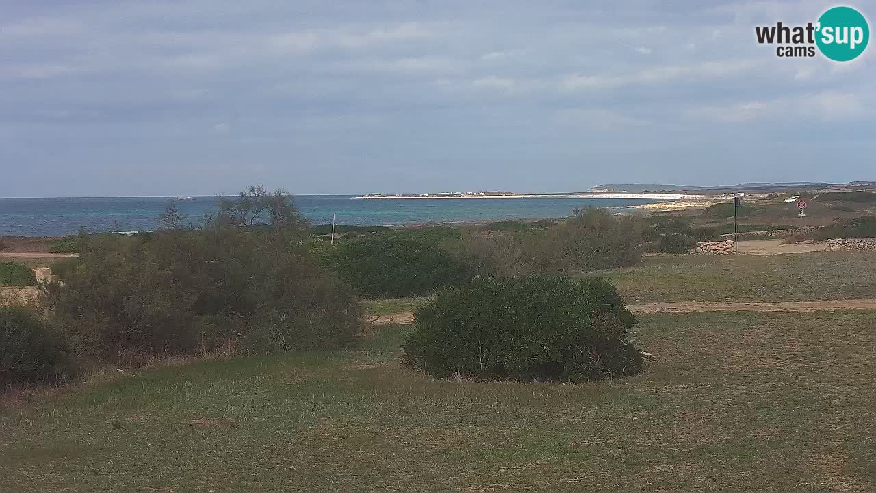 Plaža Mari Ermi | Is Arutas – Oristano
