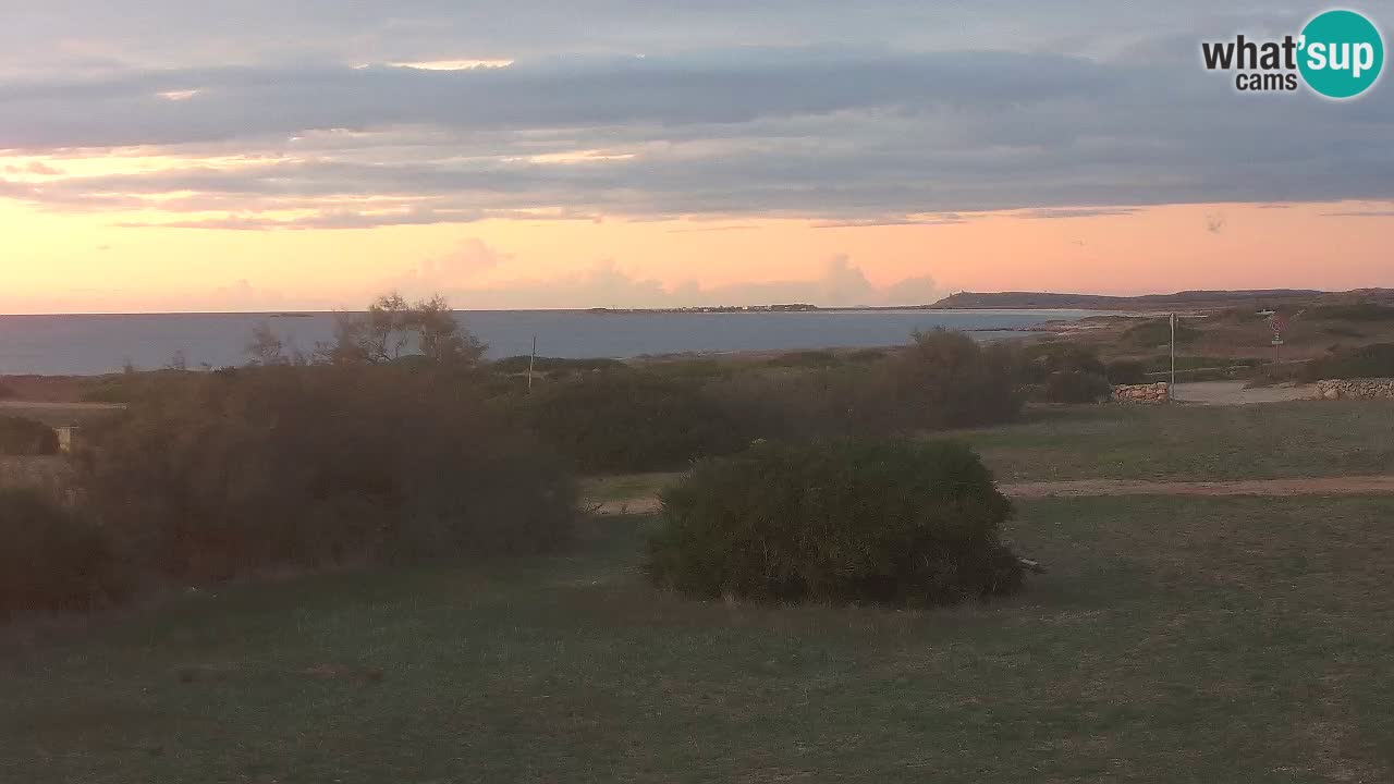 Mari Ermi Strand | Is Arutas – Oristano