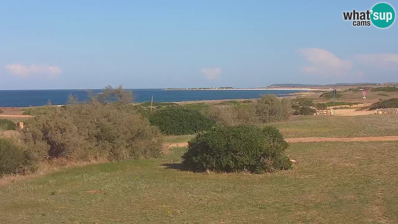 Playa Mari Ermi | Is Arutas – Oristano